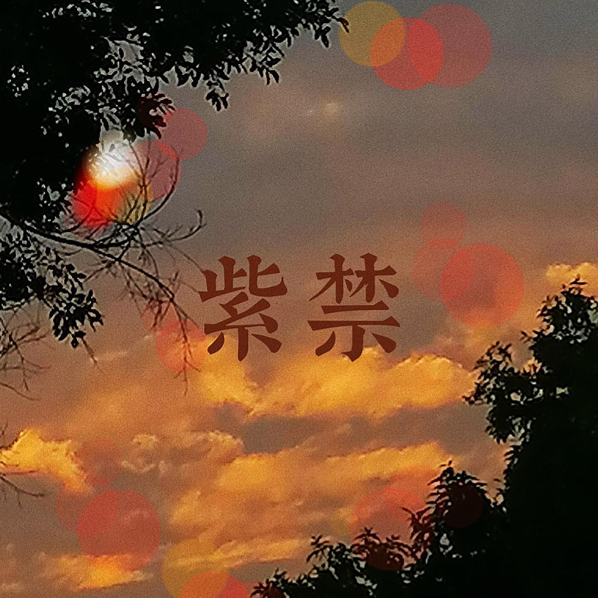 孤夜紫禁 手可摘星