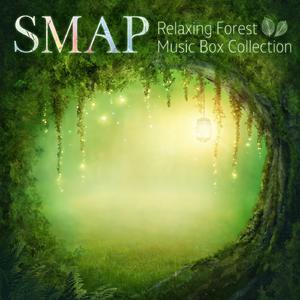SMAP - FREEBIRD （降1半音）