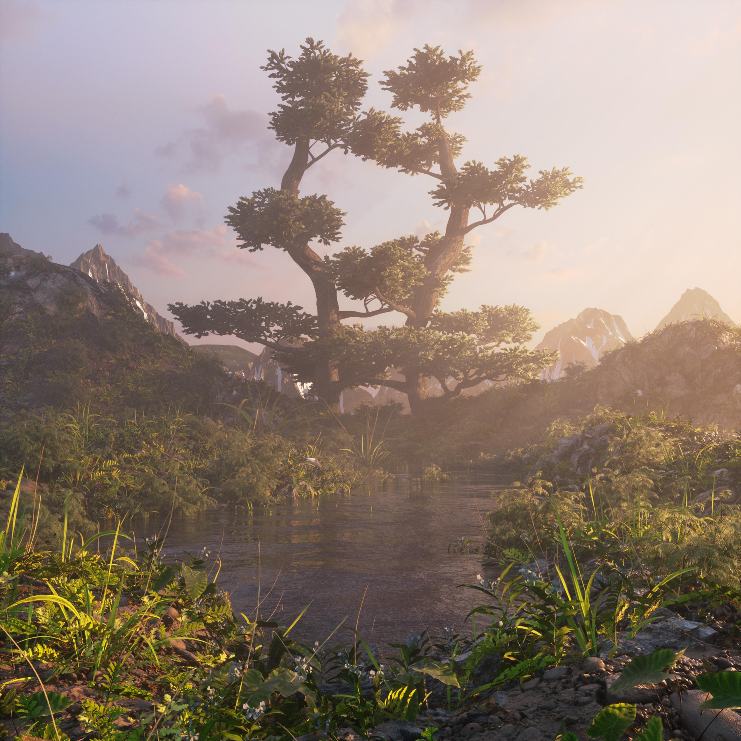 Daylight in the Swamp