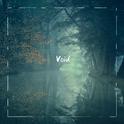 Void专辑