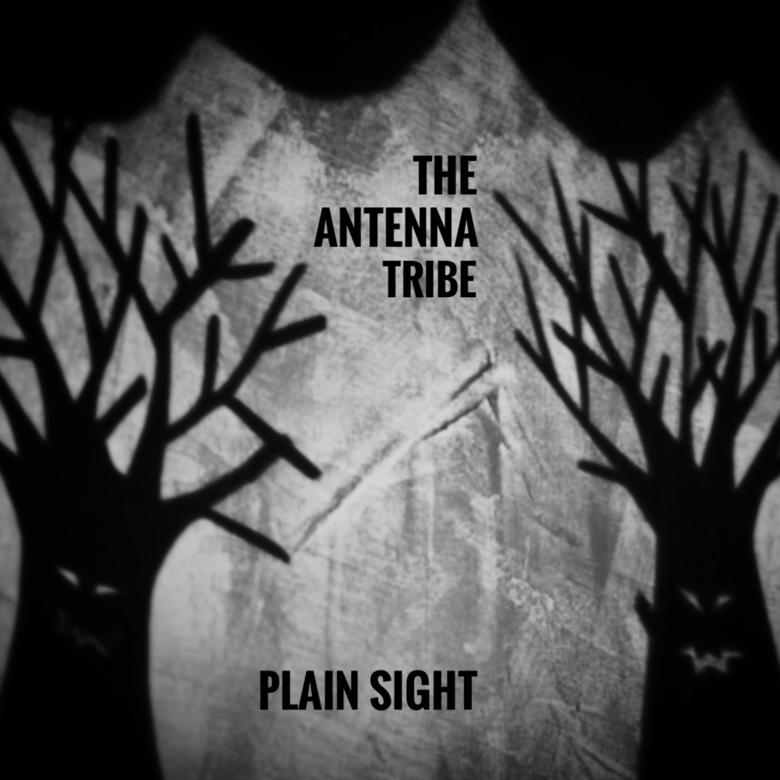 The Antenna Tribe - Plain Sight (feat. Silke)