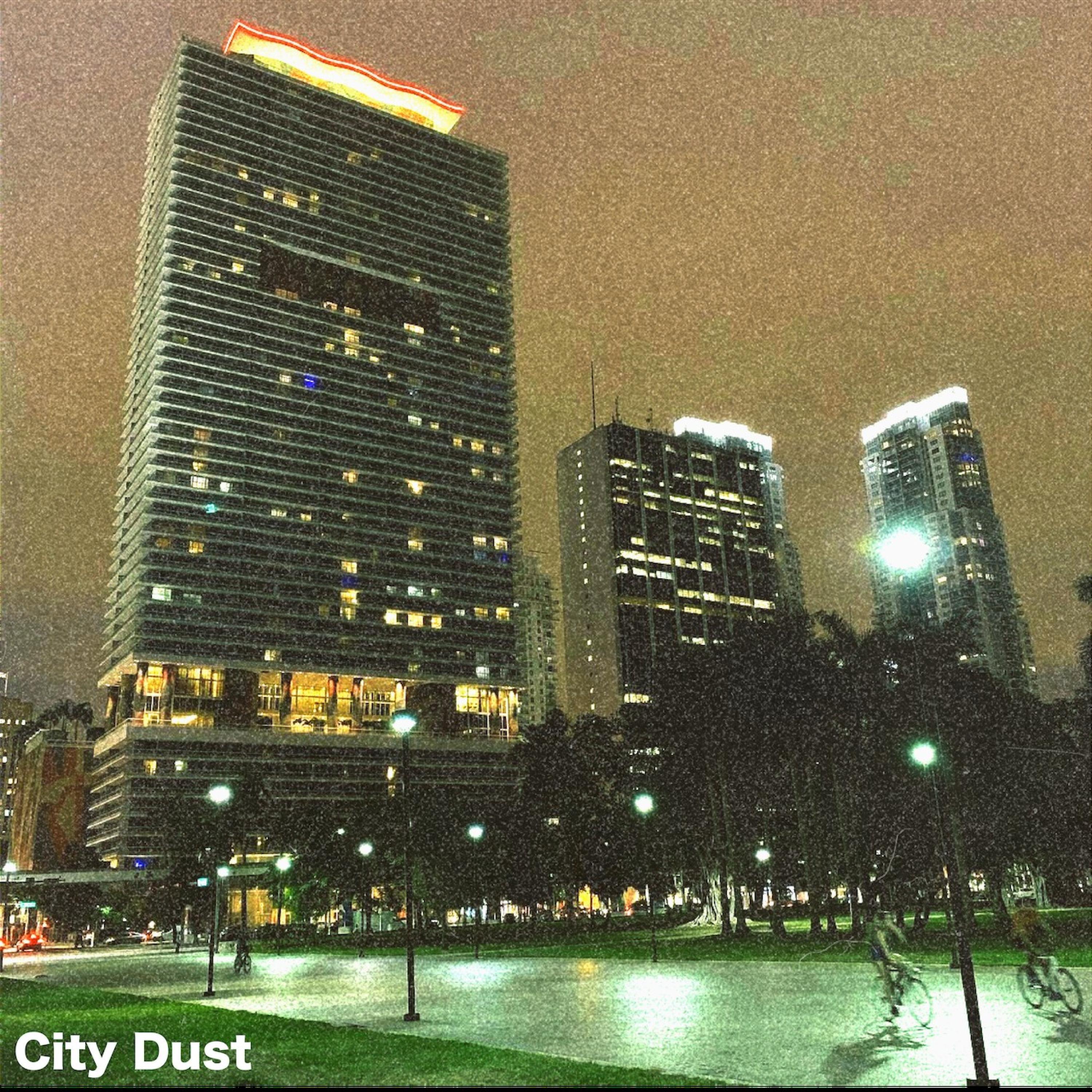 City Dust