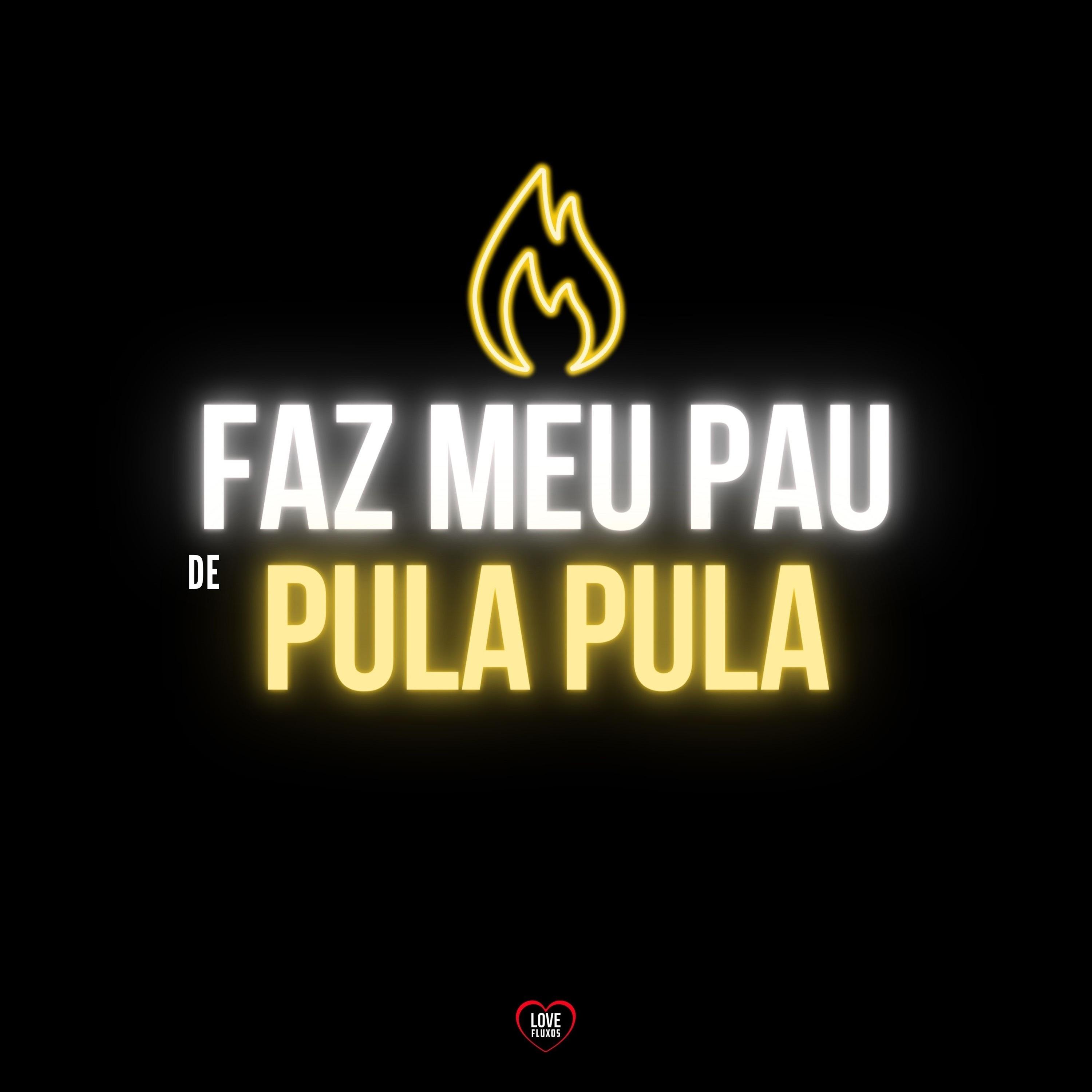 Faz Meu Pau de Pula Pula