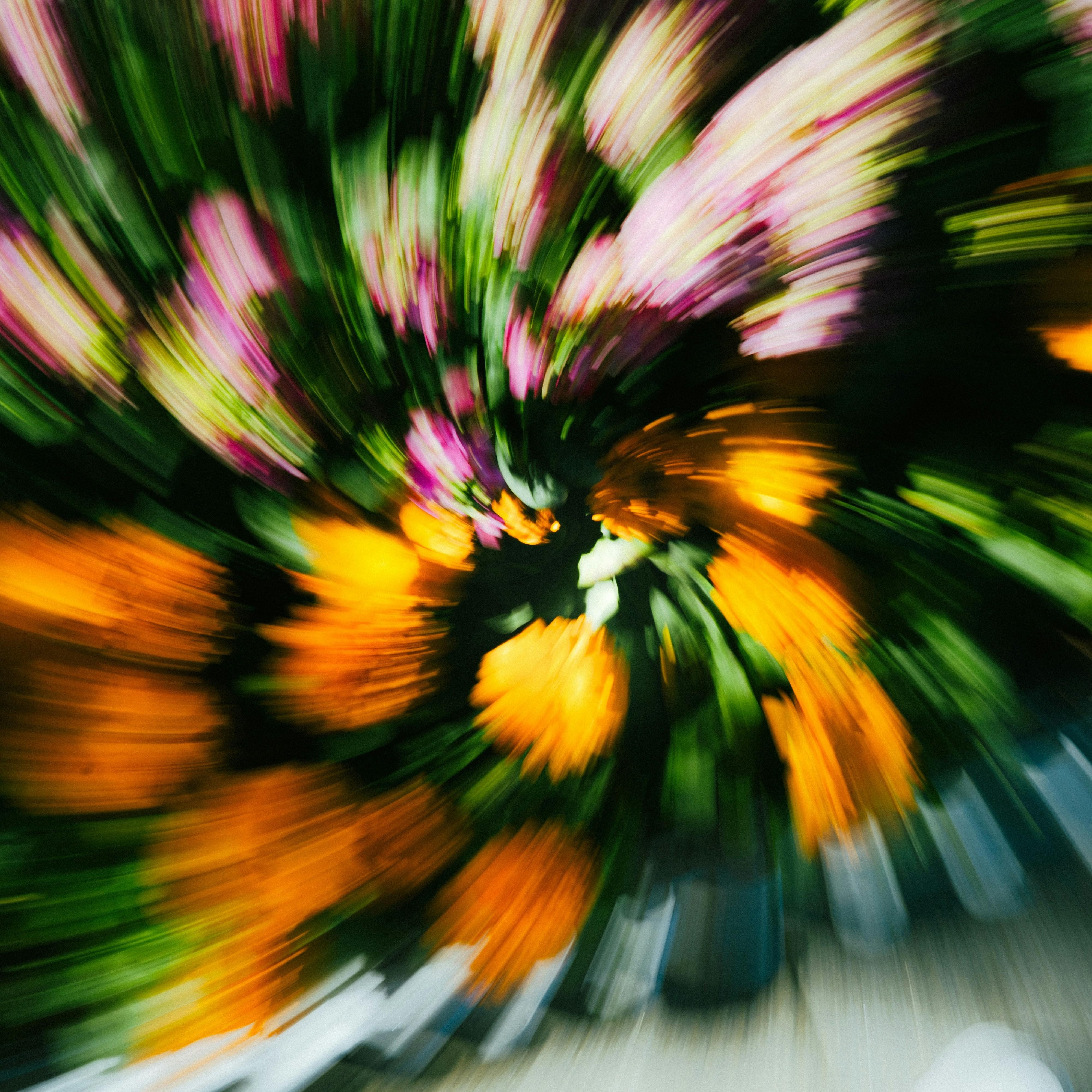 黄土坡上的柏油