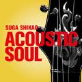 ACOUSTIC SOUL