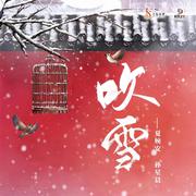 吹雪 (DJ野马混音版伴奏)