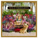 Wild Thoughts (NOTD Dance Remix)专辑
