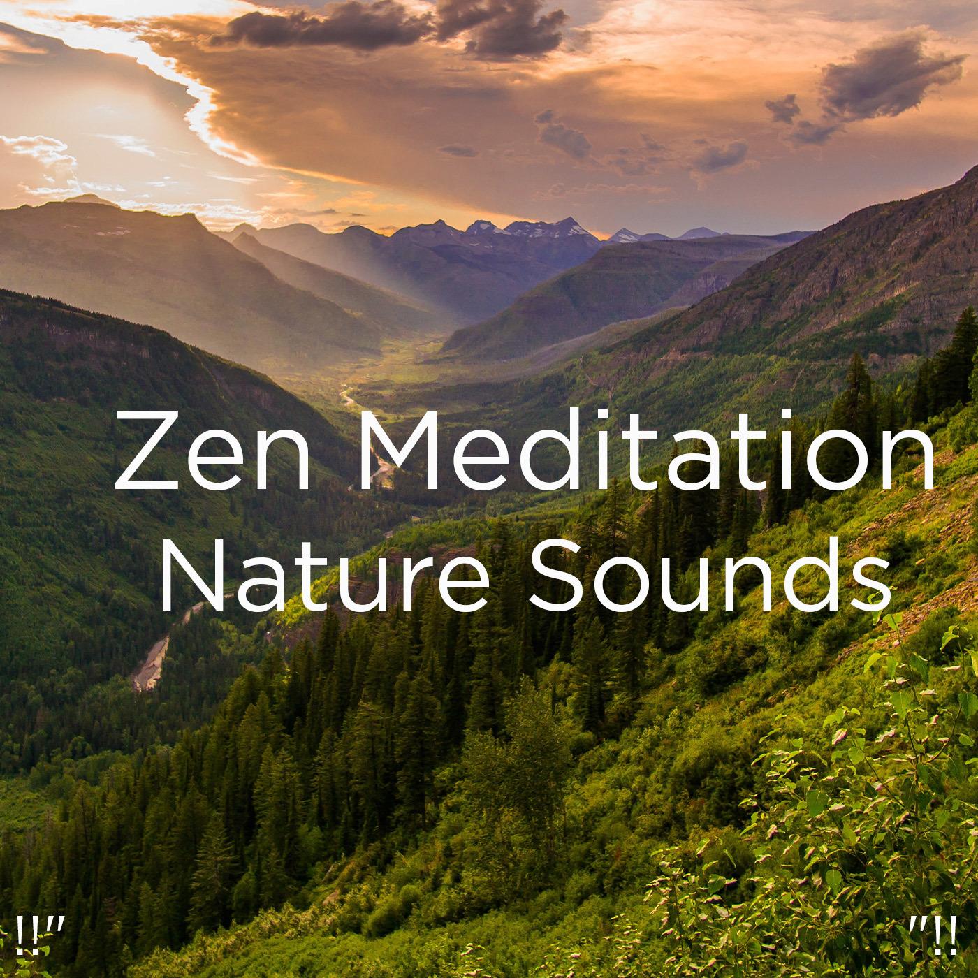 !!" Zen Meditation Nature Sounds "!!