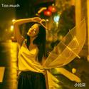 Too much (纯音乐)