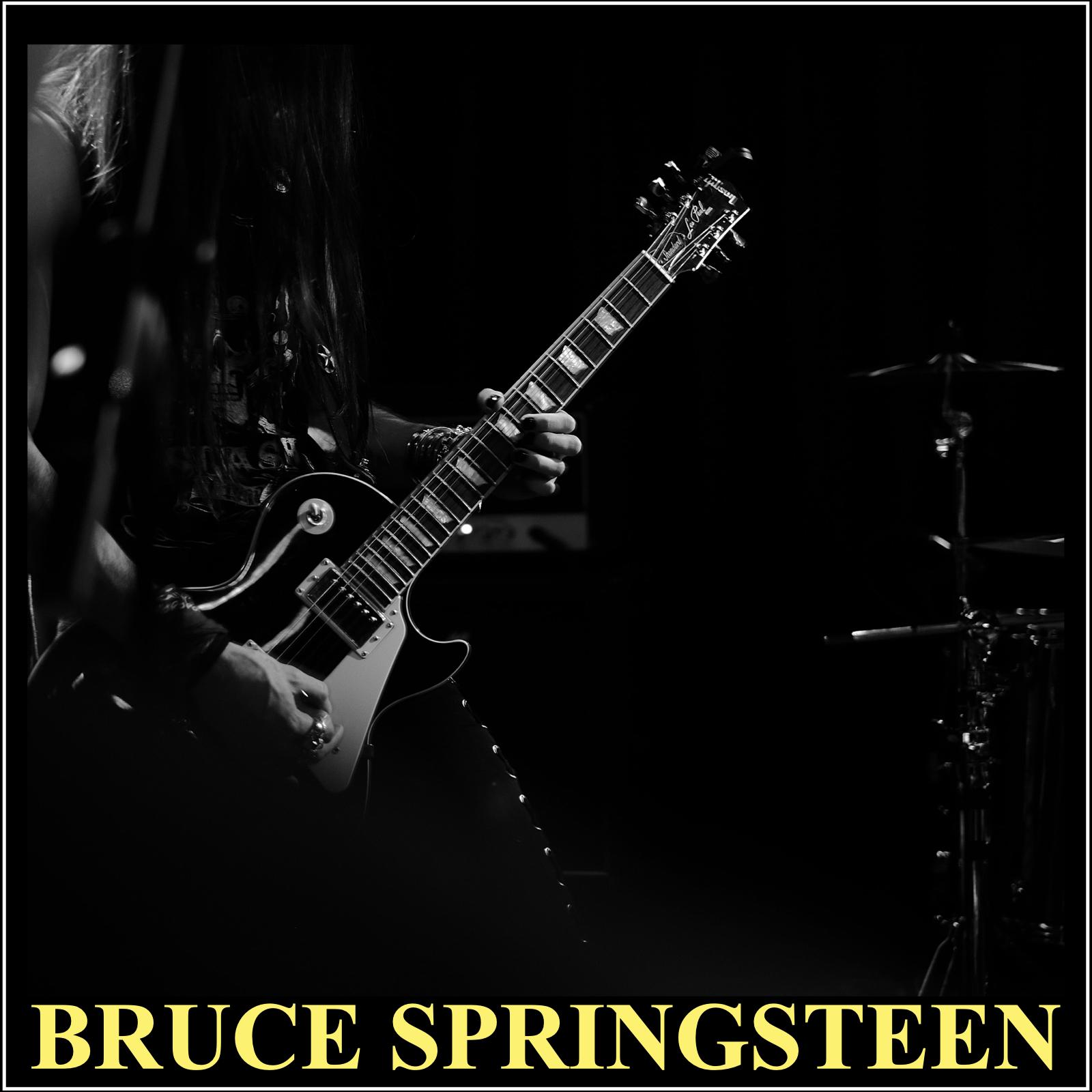 Bruce Springsteen - The FM Broadcast Collection 1973.