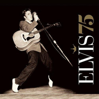 Elvis Presley - In The Ghetto (karaoke) (2)