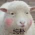 汤汤汤汤汤总