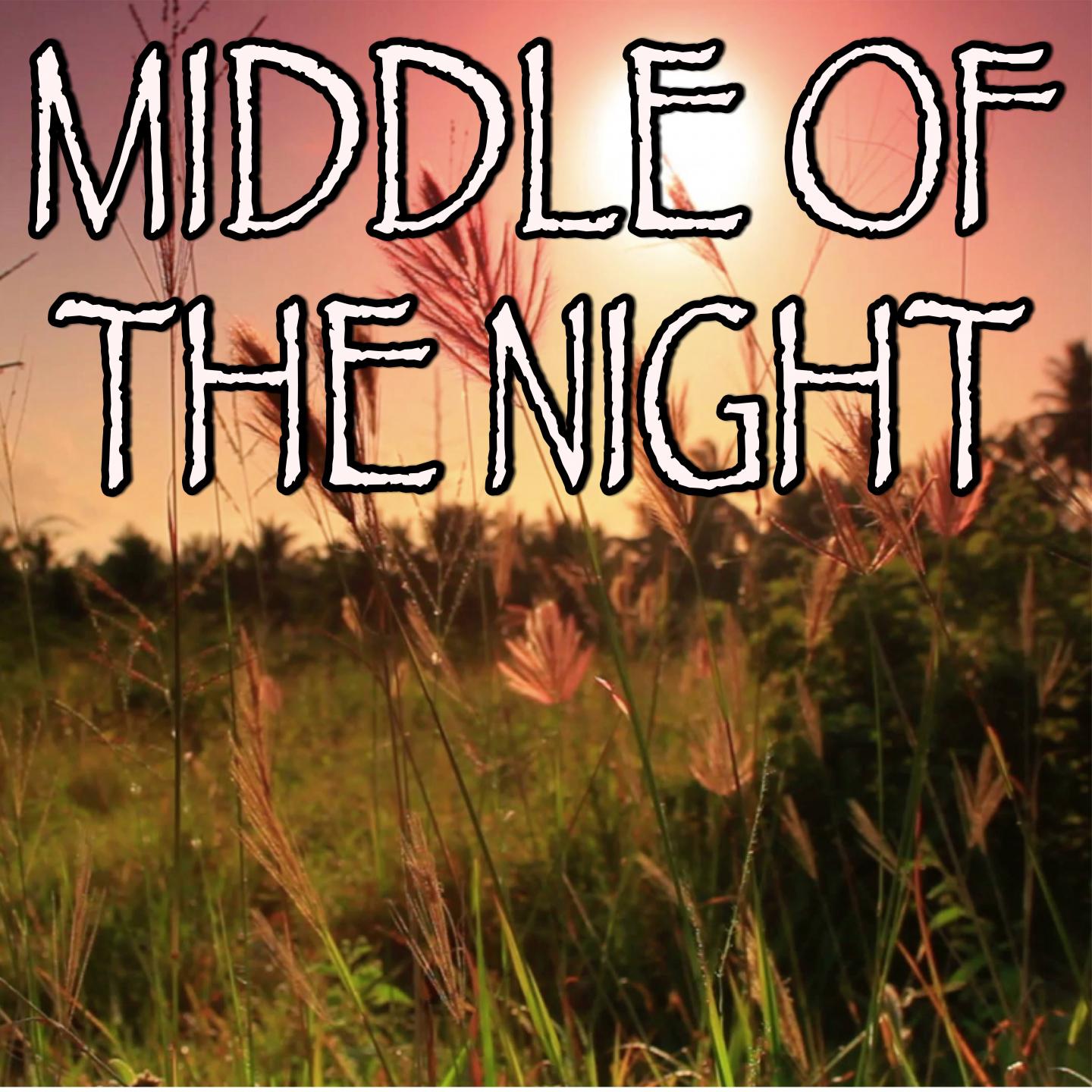 Middle Of The Night - Tribute to The Vamps And Martin Jensen专辑