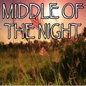 Middle Of The Night - Tribute to The Vamps And Martin Jensen专辑