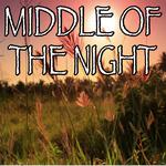 Middle Of The Night - Tribute to The Vamps And Martin Jensen专辑