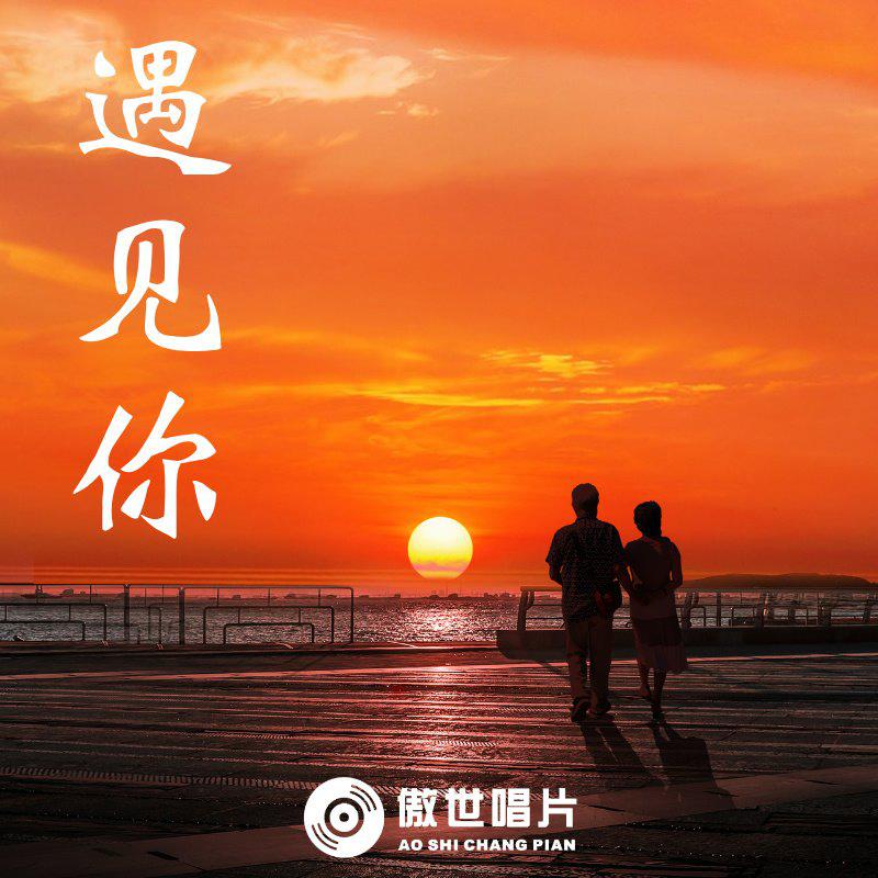 陈雅森 - 下辈子不一定还能遇见你(四会Dj健仔 Electro Mix国语男)