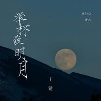 王键 - 举杯敬明月 (DJ九零版)