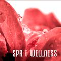 Spa & Wellness – Soft Music to Calm Down, Healing Spa, Deep Massage, Harmony, Silence, Soothing Soun