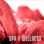 Spa & Wellness – Soft Music to Calm Down, Healing Spa, Deep Massage, Harmony, Silence, Soothing Soun专辑