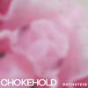 Rothstein - chokehold