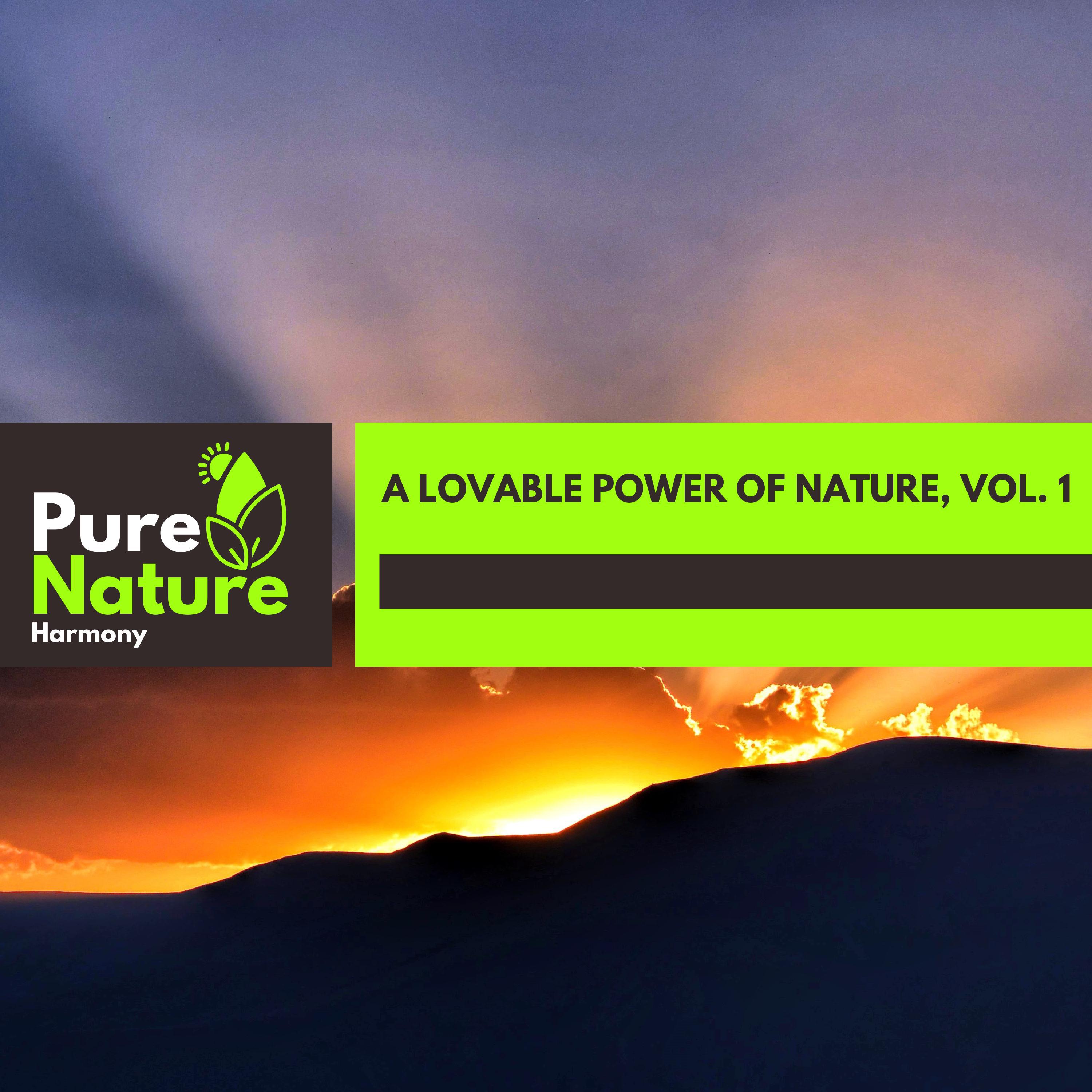 True Love Nature Healing Music - Intoxicating Thunder