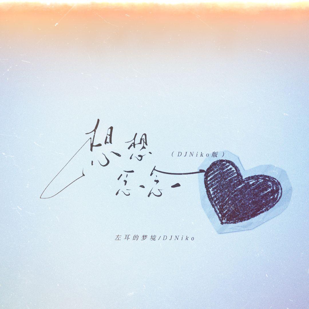 想想念念 (DJNiko版)