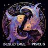 Indigo Owl - Pisces