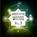 Hidden In The Woods Vol.9专辑