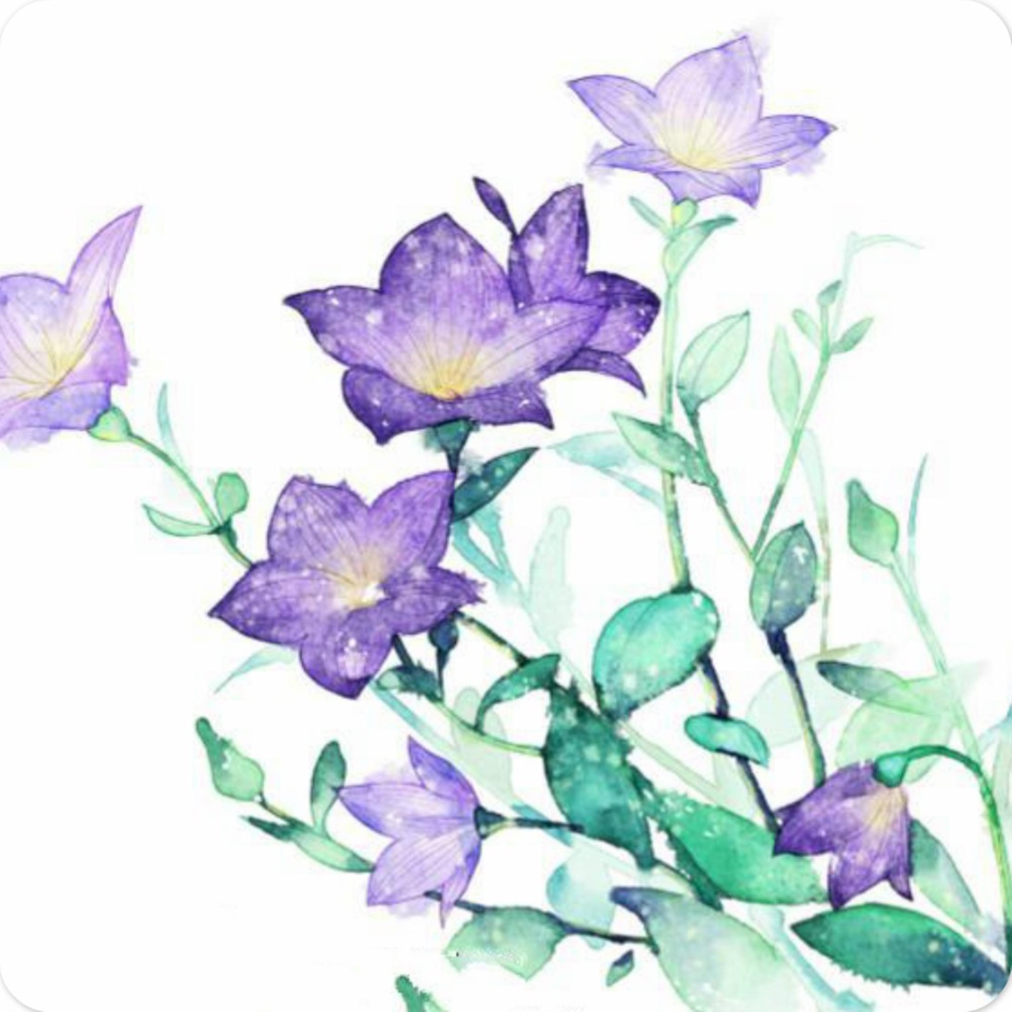 桔梗~Tide of Abyss