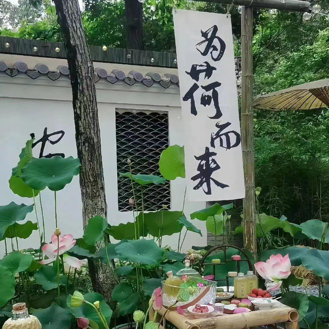 周传雄 - 青花 (DJ小罗 ProgHouse Rmx 2024)无心睡眠鼓