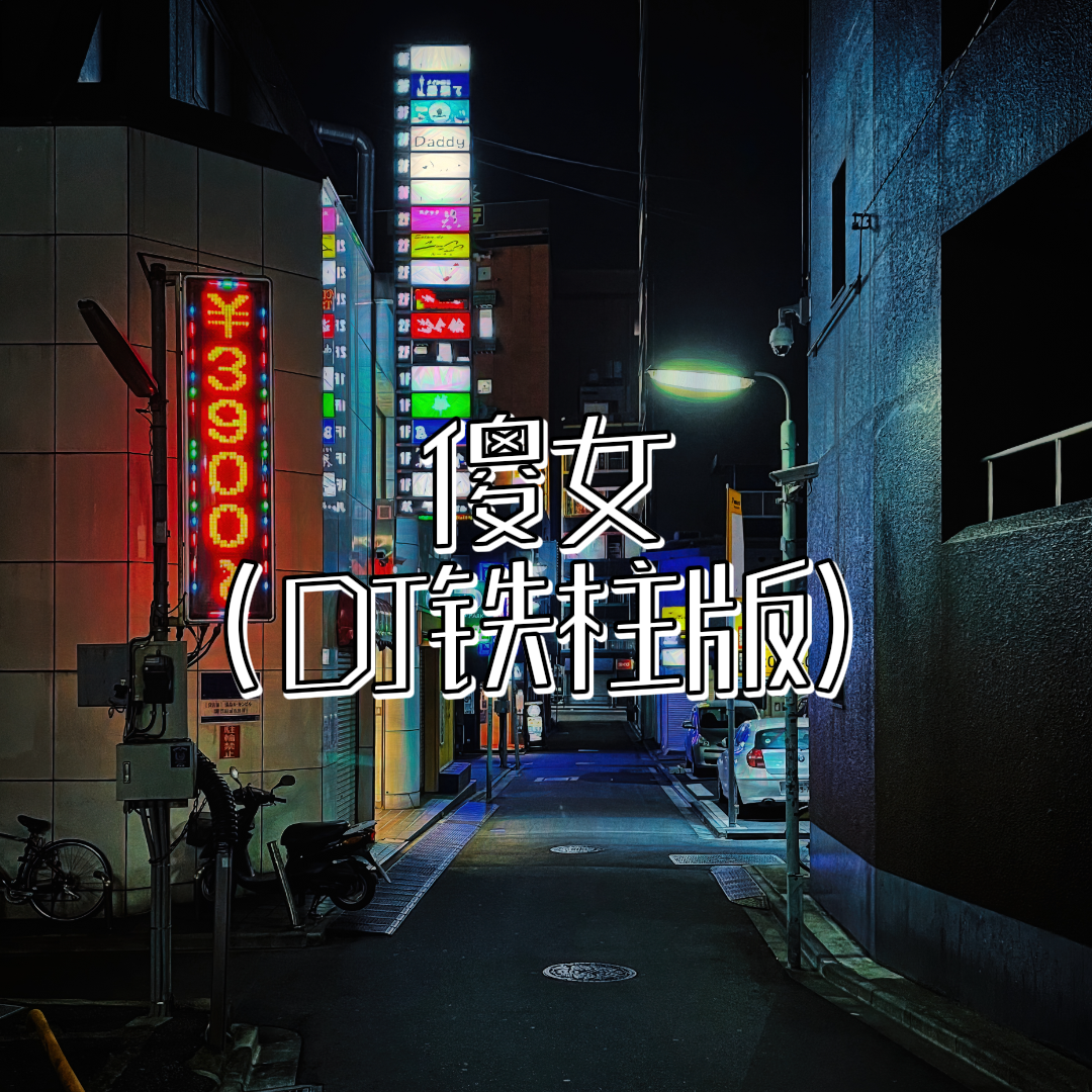 傻女（DJ铁柱版）