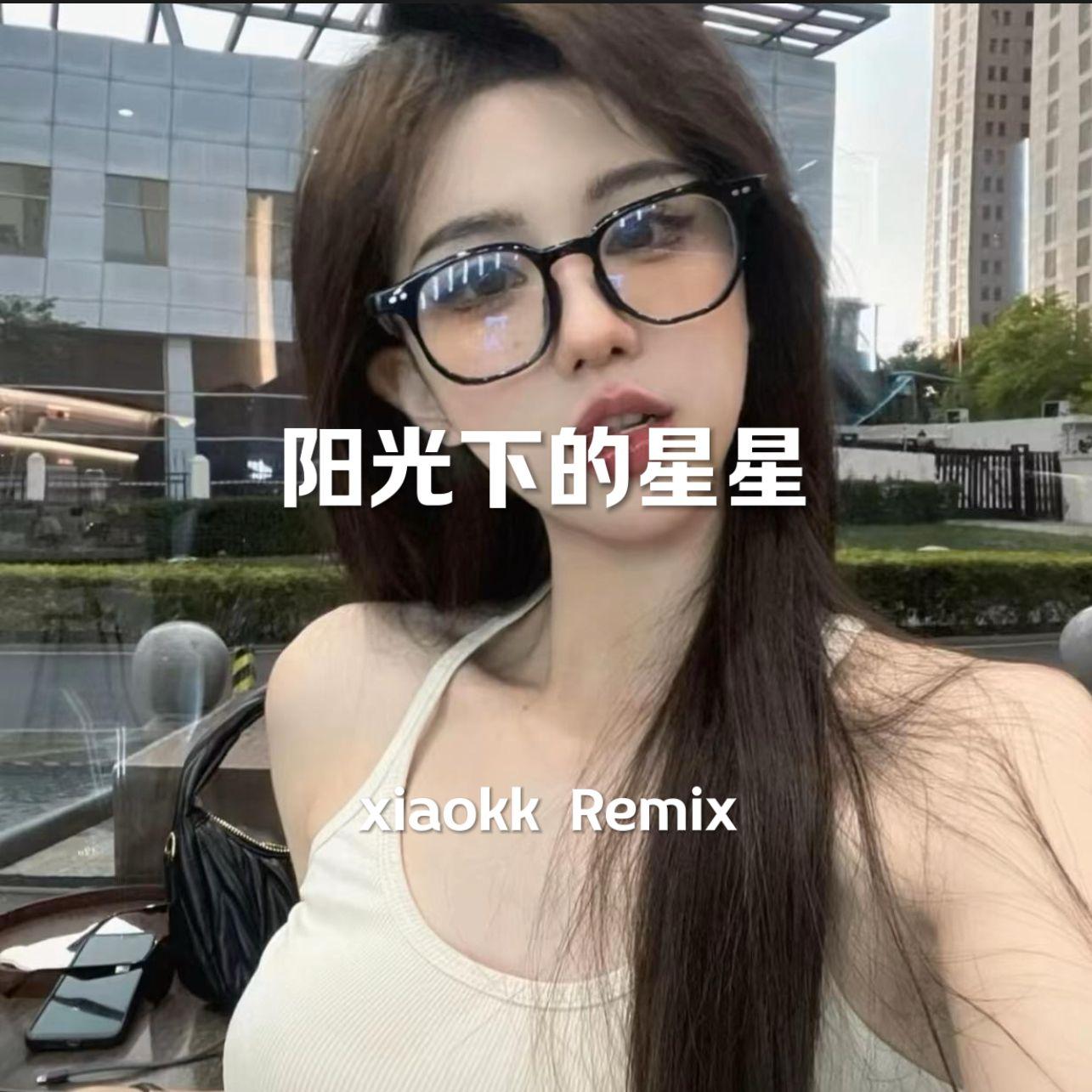 阳光下的星星DJ（xiaokk Remix）