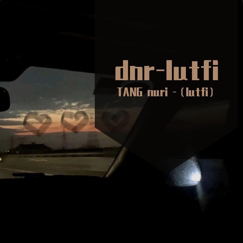 dnr-lutfi