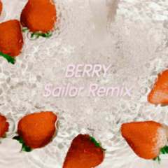 李佳隆-BERRY（$ailor remix）