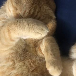 开心点｜对于某人来说 你就是宇宙的中心