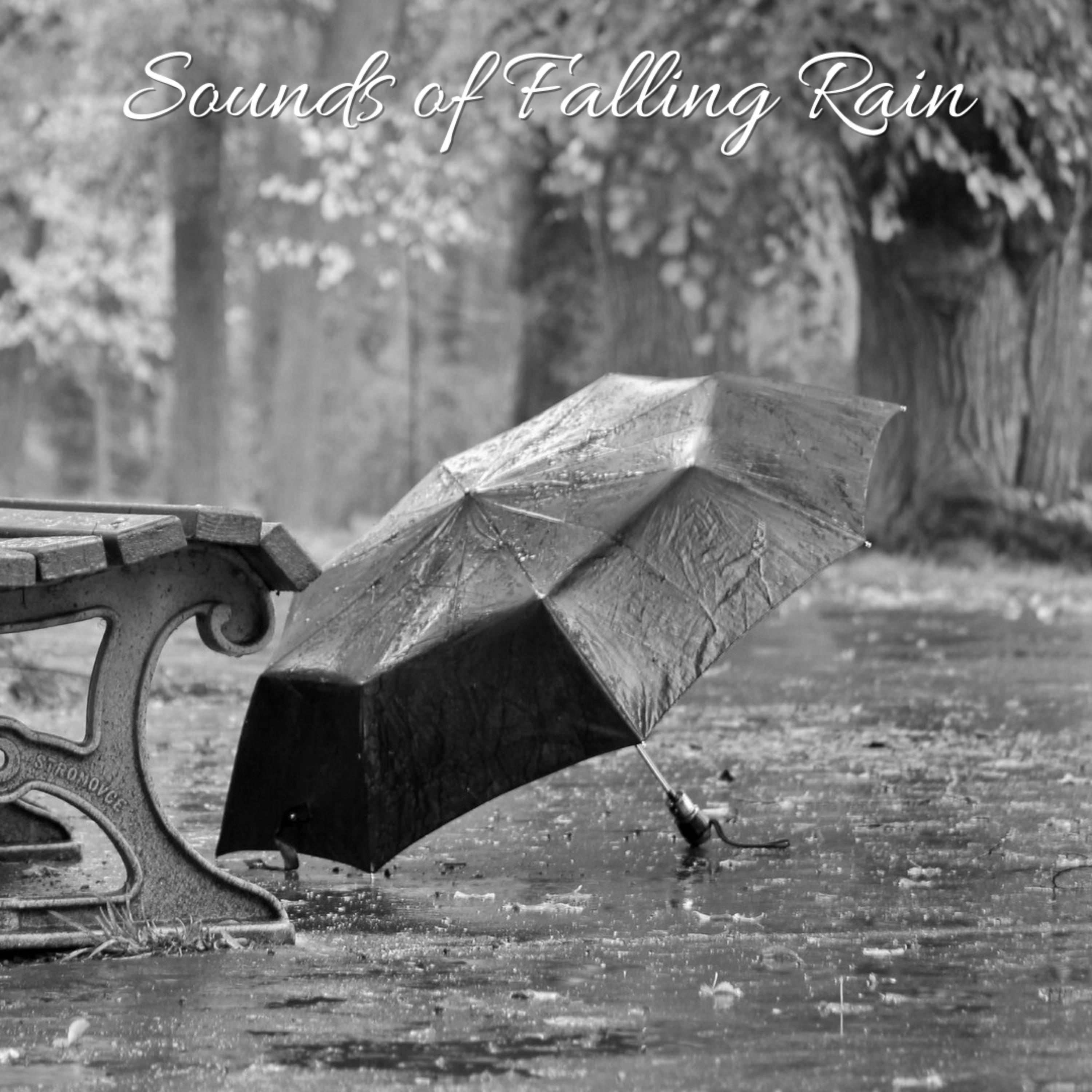 Sounds of Falling Rain专辑