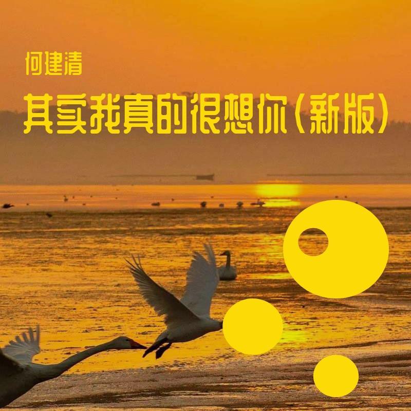 其实我真的很想你（新版）