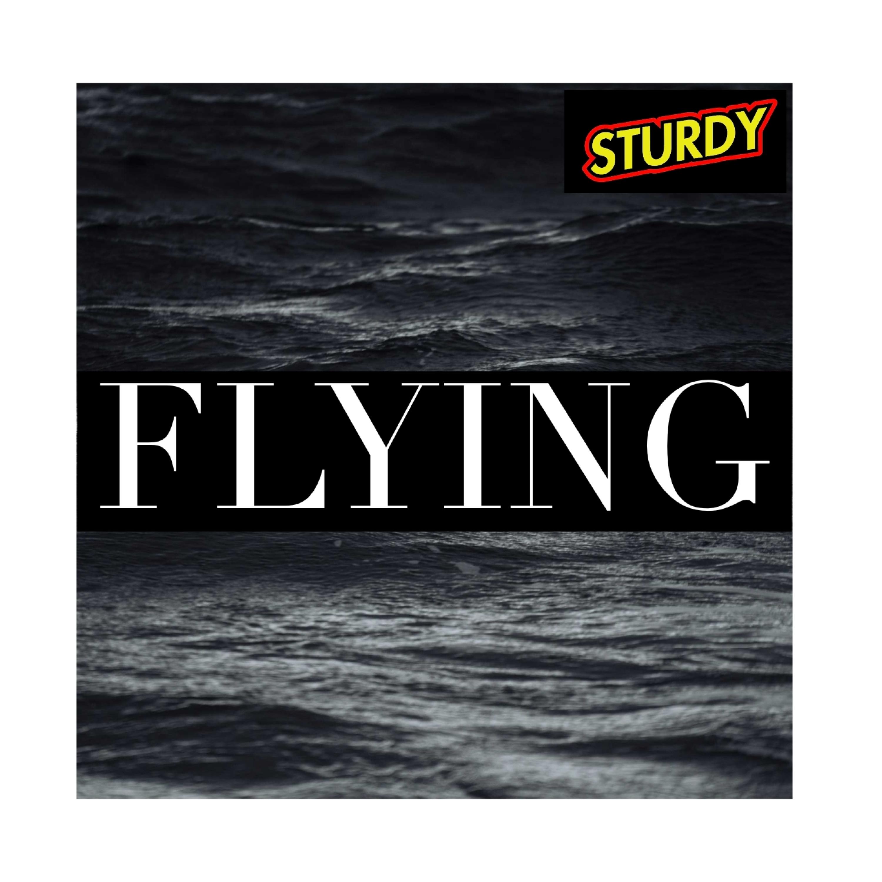 Flying (feat. HaRri)