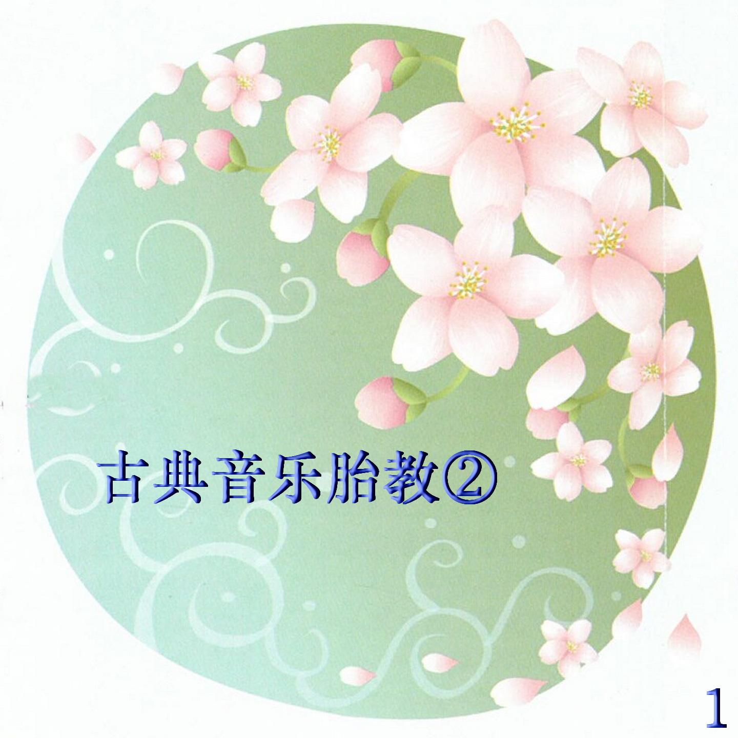 匈牙利舞曲第5号