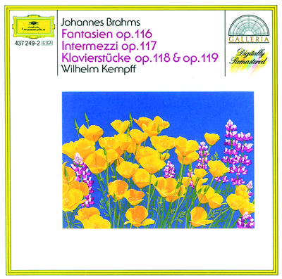 Brahms: Piano Works Op. 116 - 119专辑