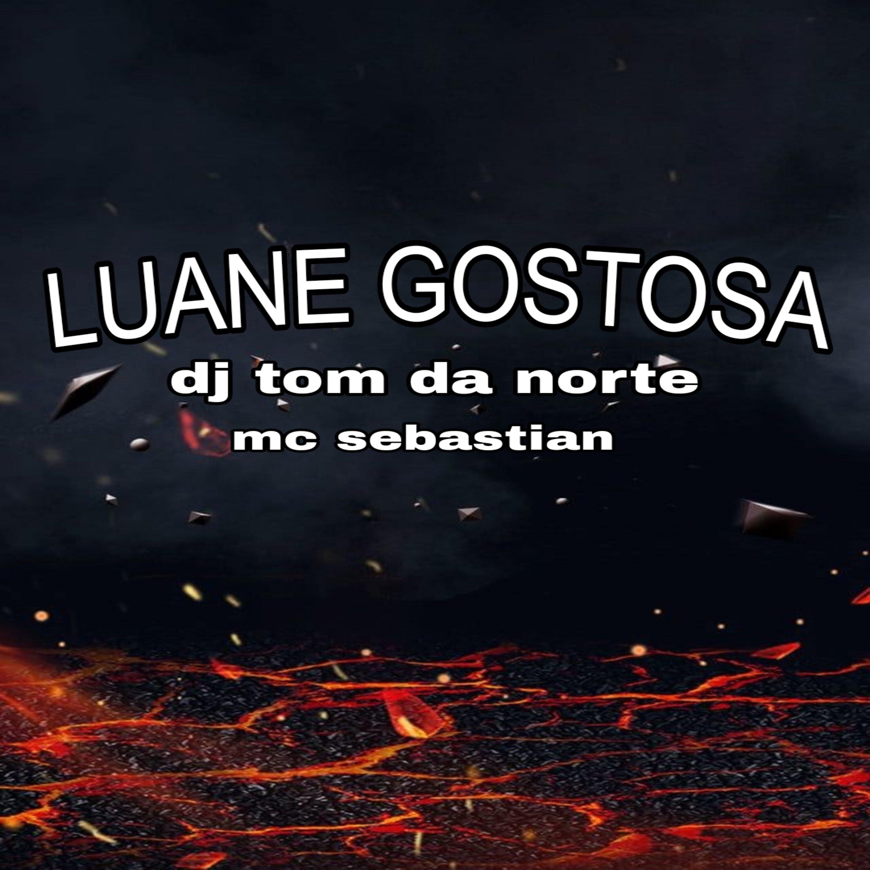 DJ TOM DA NORTE - Luane Gostosa