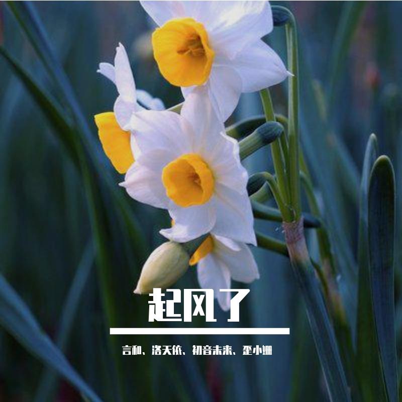 起风了
