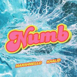 Marshmello & Khalid - Numb (Instrumental) 无和声伴奏 （升7半音）