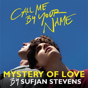 Mystery of Love (Call Me by Your Name) （原版立体声带和声）