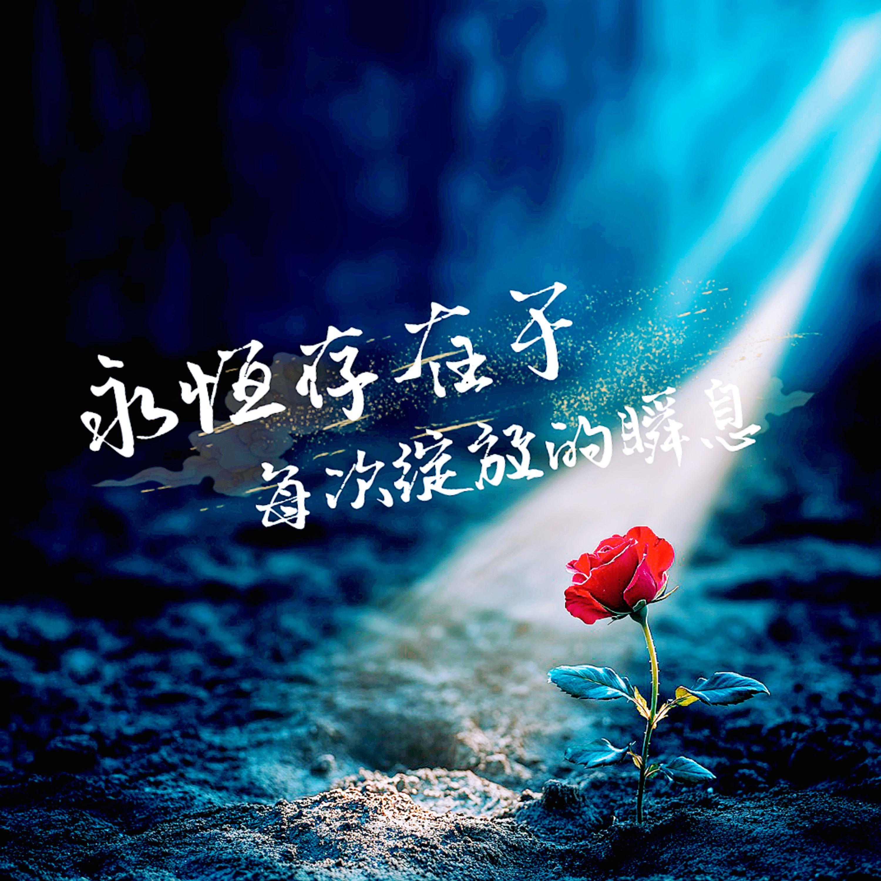 永恒存在于每次绽放的瞬息 伴奏