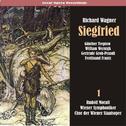 Wagner: Siegfried, Vol. 1