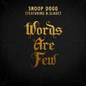 Words Are Few (feat. B Slade)专辑