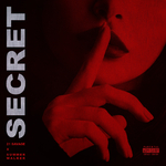 Secret专辑