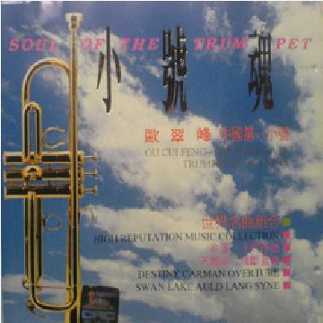 Spain Bullfighter(西班牙斗牛士)-P.Michener