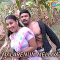 Malarenum Melliya (Original Motion Pictures Soundtrack)